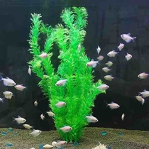 Water-grass decoration in the fish tank Emulated Water Grass Fake Water Grass Plastic Water Grass Soft Water Grass Aquarium building View Plants
