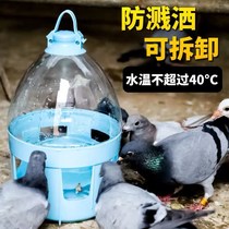 Pigeon utensils and supplies Daquan Pigeon drinking water kettle Carrier pigeon supplies Automatic feeding water clean and hygienic pigeons