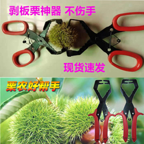 Peeling chestnut shell artifact peeling chestnut prick tool prick tool piercing ball opener shearing plucking ball Thorn shell chestnut clip