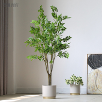 Roman mother modern style simple decoration simulation green plant boxwood tree Landing home fresh ornaments