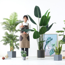 Roman mother Nordic simulation plant decoration Sanwei sunflower sausage large green plant potted fake bonsai ornaments