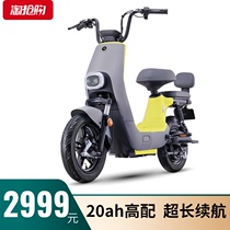 (Travel selection) Emma electric bicycle 48V20AH men and women Adult Light car car D350