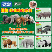 TOMY Domeca animal toy model ANLIAAFRICAN grassland simulation rabbit Cheetah lion Zebra Elephant