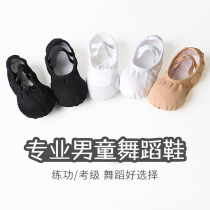 Boy dance shoes white soft ballet Chinese dance shoes mens black practice shoes adult body cat claw shoes