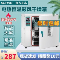 Blast drying oven electric constant temperature oven medicinal materials food drying aging test laboratory industrial oven
