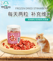 ECO Forest Forest hamster chinchillo guinea pig rabbit snack freeze-dried fruit strawberry granules 12g
