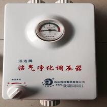 2017 Xunda biogas pressure-regulating desulfurization and deodorant pressure gauge air purifier