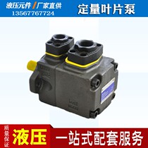 Hydraulic pump high pressure blade pump PVD1-6 8 10 12 17 19 23 28 31 F L 1RU10