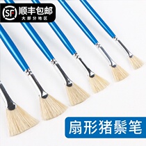 Picture drawing pass oil brush pig Mane fan-shaped brush gouache waterpowder watercolor oil brush umbrella flat head fishtail Pen art student special brush acrylic watercolor painting graffiti pen single painting set