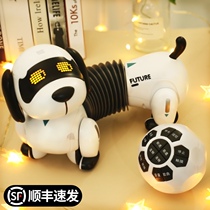 Childrens house toys Pet simulation animal puppy Boy baby girl electric birthday gift 3 years old 5