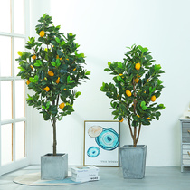 Nordic simulation green plant lemon tree orange tree apple tree indoor floor-to-ceiling fake potted plants with fruit living room decoration ornaments