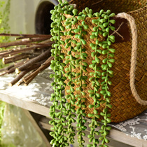 Emulation multi-meat lover tears Buddha Pearl Pendant Living-room Bedroom Wall wall Decorative Balcony Hanging Plant Fake flower wall-hanging piece