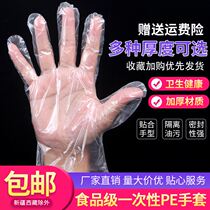 Child Food Grade Disposable Gloves Food Grade Thickened Film PE Durable Kitchen Eat Lobster Transparent Hand Film