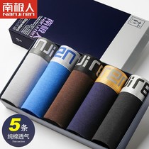 4 Dress Antarctic Mens Underwear Mens Flat Corner Pants Pure Cotton Quality Youth Sexy Mid-Waist Boys Summer Four-corner Pants