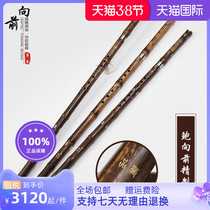 Baum forward refined boutique xiao Professional upplay Purple Bamboo Cave II Festival Gtone F F Tone Stage Solo