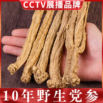 Wild Dang Shen 500gg dry goods big stick Dang San premium Gansu Chinese herbal medicine Dang Shen combination Astragalus angelica soup