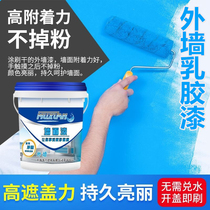 Outdoor blank cement wall paint waterproof alkali-resistant bright and dirty-resistant environmentally friendly paint self-brushing without peeling exterior wall latex paint