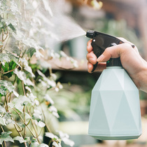 Water spray kettle green plant meaty spray gardening household sprinkler bottle pneumatic sprayer for indoor disinfection