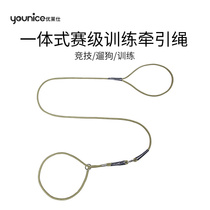 p rope small dog teddy Bears dog chain dogs traction rope training dog with professional stage fine p word chain puppies dog rope