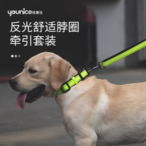 Dog snare neck ring Chai dog medium-sized large dog can pull the rope to walk the dog collar pet Labrador golden retriever