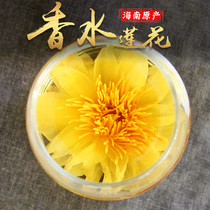 Hainan Jiupin Perfume Lotus Tea Taiwanese Guanyin Lotus Leaf Tea Whole 16 Large Putuo Buddha Tea Flower Tea