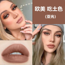 European and American matte matte non-decolorizing earth color lipstick niche brand student women affordable moisturizing cold color lipstick