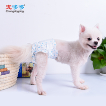 Pet dog diapers physiological pants diaper aunt towel female dog male dog Teddy sanitary napkin anti-menstrual safety