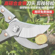 Fruit trees flowers trees trees flowers fruit scissors citrus scissors cutting flower shape fruit scissors