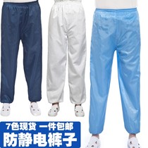 Anti-static pants dust-free suit split suit blue factory dust-proof clean work clothes for men and women