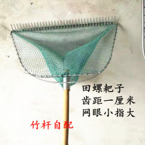 The rake field snail clam the sea tool the net the water and the grass tool the aquatic equipment