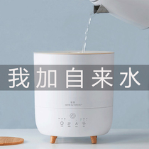 Japanese home Nai humidifier home silent bedroom pregnant woman baby fog quantity sterilization air aromatherapy small spray
