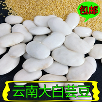 White kidney beans 3 pounds of big white beans Yunnan big white kidney beans farmers produce white kidney beans whole grains this years new goods