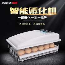 Weizhen incubator small household incubator automatic intelligent mini constant temperature incubator chicken duck goose incubator