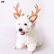 Pet headdress spring and autumn hair hairclip new dog supplies Christmas hat cat jewelry fairy Horn