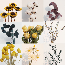 Nordic light luxury eternal eucalyptus Apple eucalyptus star rose small Daisy Model living room decoration