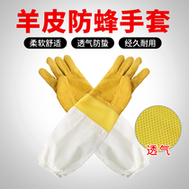 Sheep gloves thickening canvas bee-resistant bee-resistant bee-resistant stinging aerobic bee-keeping gloves for special bee-keeping tools