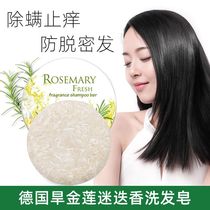 Dry gold lotus rosemary shampoo soap in addition to mites Shampoo solid hair oil control soap Anti-dandruff anti-itching anti-hair-raising black hair soap