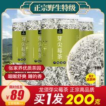 Berry tea Zhangjiajie super wild dragon beard sprouts tip grass rock mold tea Vine tea Xiangxi Tujia throat health tea