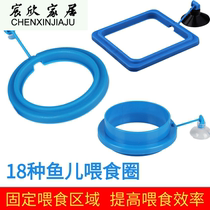  Feeding circle suspended feeding fish food feed fish tank Large large goldfish Small feeding turtle buoyancy floating artifact