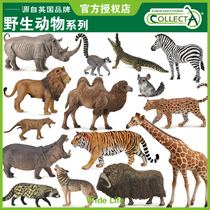 British CollectA me you he simulation wildlife collection model toy cognitive tiger lion giraffe