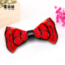 Honey Tao cat childrens dress bow tie wedding flower girl piano performance in the big boy red handmade feather bow