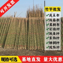 Bamboo Rod Subrack Vegetable Garden Bamboo strips Bamboo Rod Thin Bamboo Strips Bean Corner Cucumber West Red Persimmon Melon fruit Vegetable Climb Vine rack Lottery