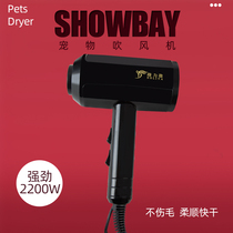 Pet hair dryer Cat special small dog hair dryer blowing dog hair artifact quick-drying high-power Teddy silent hair blowing