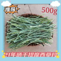 Sun dried grass section 2021 drying Timothy grass section rabbit Dutch pig hamster staple food grass grass grass grass North