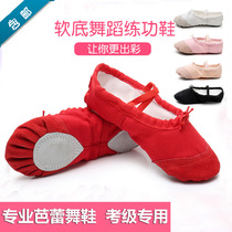 Childrens ballet dance shoes autumn adult yoga shoes cat claw shoes dancing shoes boys and girls soft bottom dance shoes gymnastics shoes