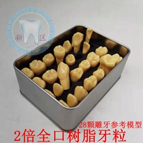 Dental double standard carving model 2 times resin tooth particles doctor-patient communication tooth preparation practice teaching