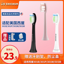 Electric toothbrush head suitable for Westinghouse Sonic two packs 301b 301p 301w 501w