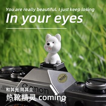 Dog hot boot cover cute cartoon camera accessories hot shoe holder flash lamp holder dust cover protection universal type