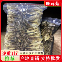 Antler Mushrooms Dry Goods New Stock 500g No Sulphur Antler Bacteria Pot Soup Edible Mushrooms Gutian Specii Crunchy Mushrooms Mushrooms