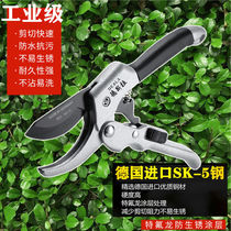 Tree thick branch scissors Pruning scissors Garden flowers Floral scissors Gardening scissors Flower repair tools Flower scissors Fruit tree branch scissors